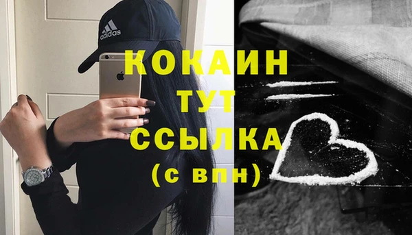 ПСИЛОЦИБИНОВЫЕ ГРИБЫ Белоозёрский