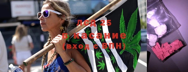 ПСИЛОЦИБИНОВЫЕ ГРИБЫ Белоозёрский